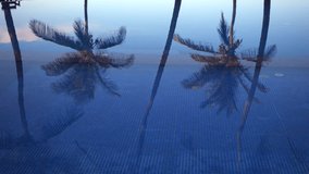 Reflection of palm trees on the surface of calm water in swimming pool in the resort  - Powered by Shutterstock - Get 15% off with code: PIKWIZARD15