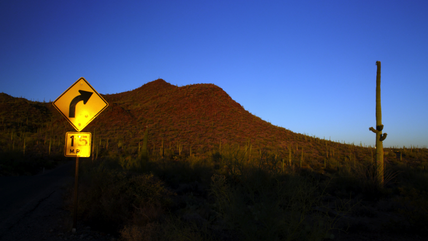 Cactus Forest at Saguaro National Park Setting Sun Time Lapse