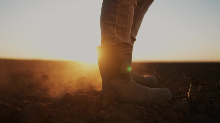 farmer feet walks across a black field lifestyle. agriculture business concept. silhouette of a farmer feet at sunset walking across a black plowed field. farmer in rubber boots legs close-up Royalty-Free Stock Footage #1097924689