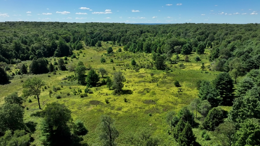 An aerial view of the beautiful green forests and meadows of northern Pennsylvania in the Appalachian foothills.