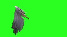 Real Angel wings green screen pack of three video , flying wings green screen , feather angel wings , golden angel wings, angel green screen ,green screen background
