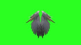 Real Angel wings green screen pack of three video , flying wings green screen , feather angel wings , golden angel wings, angel green screen ,green screen background