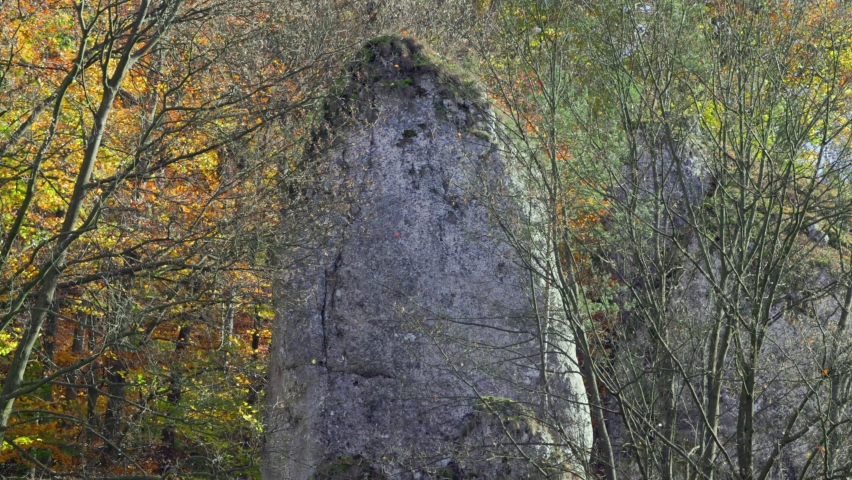 Rock in the autumn forest and leaf fall.