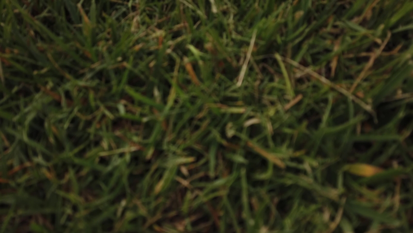 TILT SHOT - National monument to Vittorio Emanuele II (Victor Emmanuel II) in Rome, Italy.