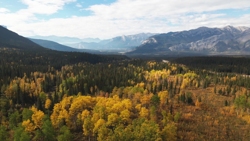 Lovely vibrant colored trees in the autumn with the stunning rocky mountains in the background, Jasper National Park in Alberta, Canada