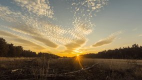 timelapse withwonderful clouds in a flat landscape with a forest while sunset