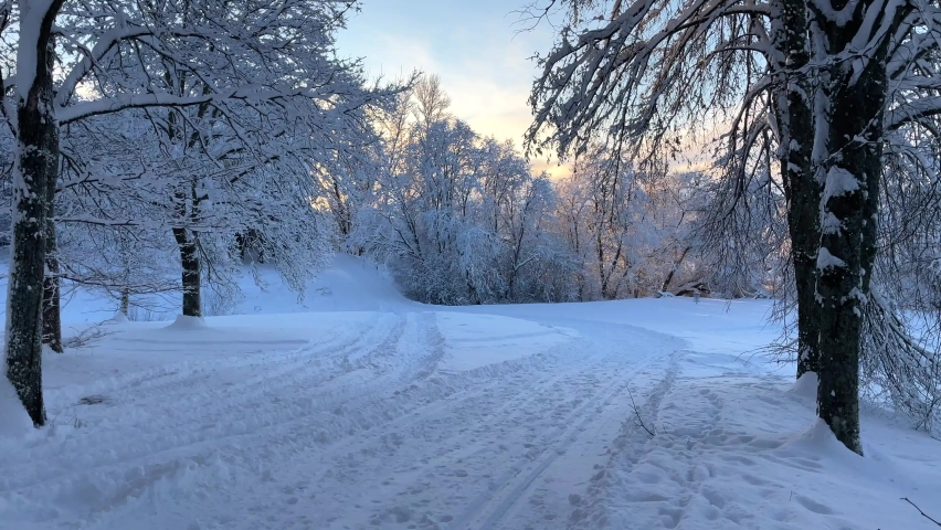 Hilltop landscape view of colorful skyline sunset sunlight in public park no people walking skiing track and thick white snow covering trees in freezing cold weather in Europe Estonia nature