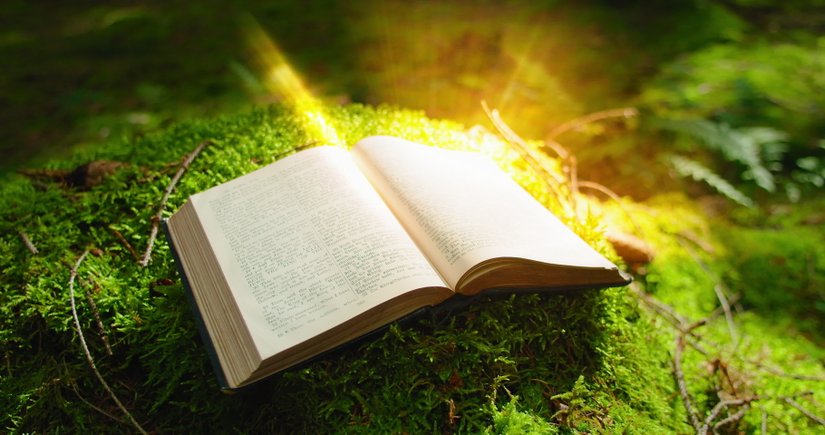 Holy Bible printed open sacred book on wide old stump natural background. Green forest nature. Paper pages. Illuminated text in ancient scripture. Royalty-Free Stock Footage #1097981953