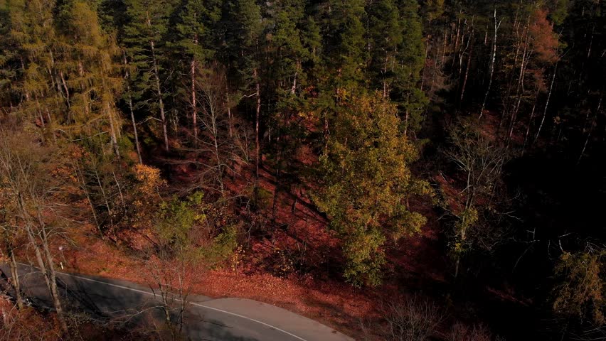 Road next to autumn forest above rocky cliffs in Saxon Switzerland.