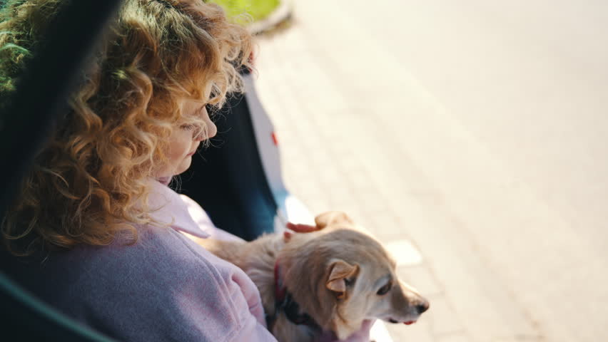 Beautiful Caucasian Woman Sitting In The Car And Petting Welsh Corgi Dog. high angle