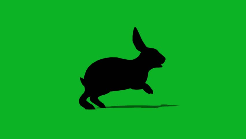 Rabbit running silhouette on green screen. 4K Animal silhouettes seamless loop (Chroma key). | Shutterstock HD Video #1097998641