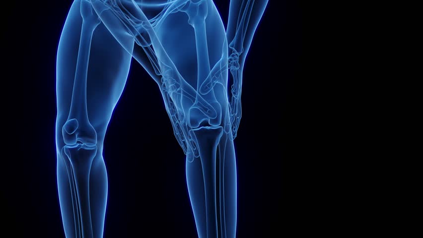 3D rendered medical animation of male anatomy - knee pain. plain black background Royalty-Free Stock Footage #1098002843