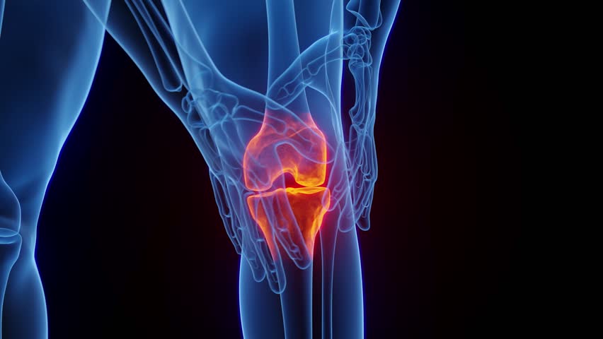 3D rendered medical animation of male anatomy - knee pain. plain black background | Shutterstock HD Video #1098002843