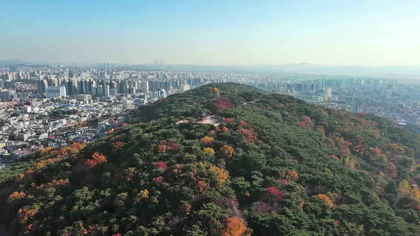 Suwon: Aerial view of city in South Korea, Paldal Park with trees in autumn colors, clear blue sky - landscape panorama of Eastern Asia from above