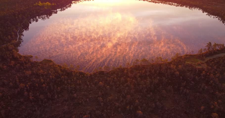 Fog on lake, Aerial drone footage flying over mist filled the pond bog lake. Sun beams coming through, Golden sunlight rising moving orange mist on water surface. Green forest and fog. Summer morning.