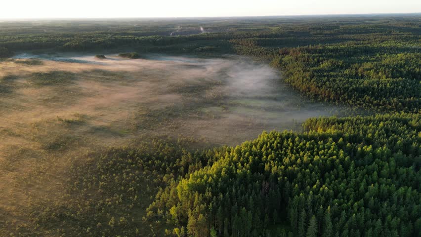 Fog on lake, Aerial drone footage flying over mist filled the pond bog lake. Sun beams coming through, Golden sunlight rising moving orange mist on water surface. Green forest and fog. Summer morning.