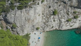 Nudist beach in the Adriatic Sea. Azure blue sea. Rocky coast. Dense green forest. Lots of vacationers and swimmers. Drone video. Pines. Summer heat. Vacation