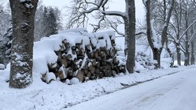 Big pile of tree trunks logs covered with white snow on the side of the road stacked in forest on the ground in cold winter season deforestation countryside snowfall - Powered by Shutterstock - Get 15% off with code: PIKWIZARD15
