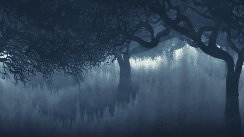 Mystical dark forest seamless looping animation