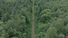 Man walking through forest drone footage