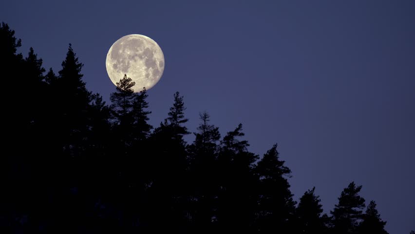 Timelapse of full moon moving through clear night sky behind mountain tree line.