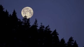 Timelapse of full moon moving through clear night sky behind mountain tree line. - Powered by Shutterstock - Get 15% off with code: PIKWIZARD15