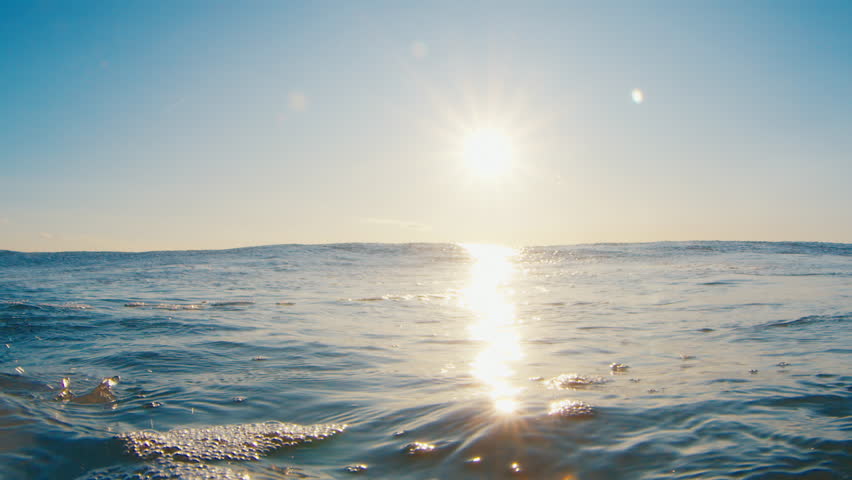 Male surfer paddles in the ocean at sunrise Royalty-Free Stock Footage #1098087273