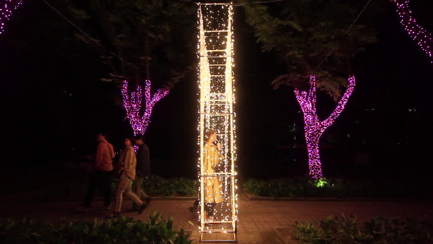 Led tree lighting decoration , LED tree witht black background in the night.
