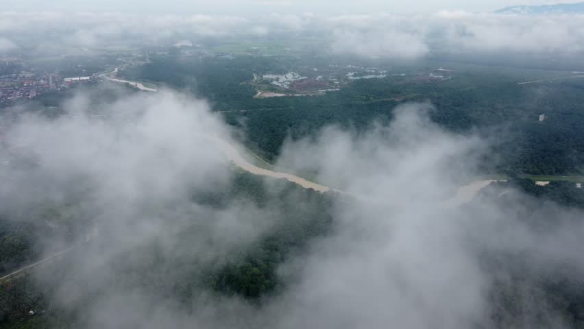 Aerial fly toward the river in oil palm farm