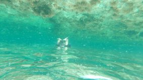 Upside down view of a girl snorkeling in a shallow beach approaching to camera. 