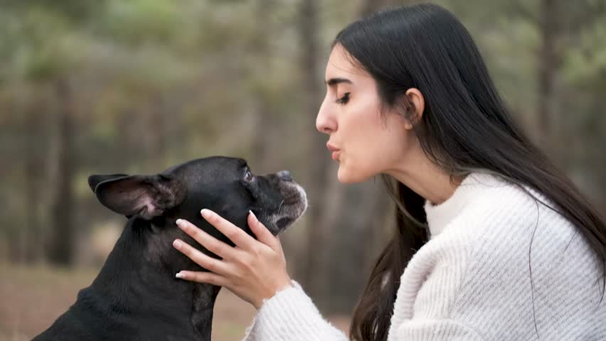 Young caucasian woman stroking and being kissed by her american staffordshire and french bulldog mixed breed dog at a pine forest. Royalty-Free Stock Footage #1098103541