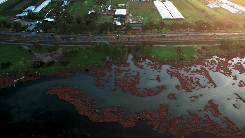 Aerial panoramic view of flamingo habitat at Inciralti Forest at sunset. Farms and the Inciralti road.