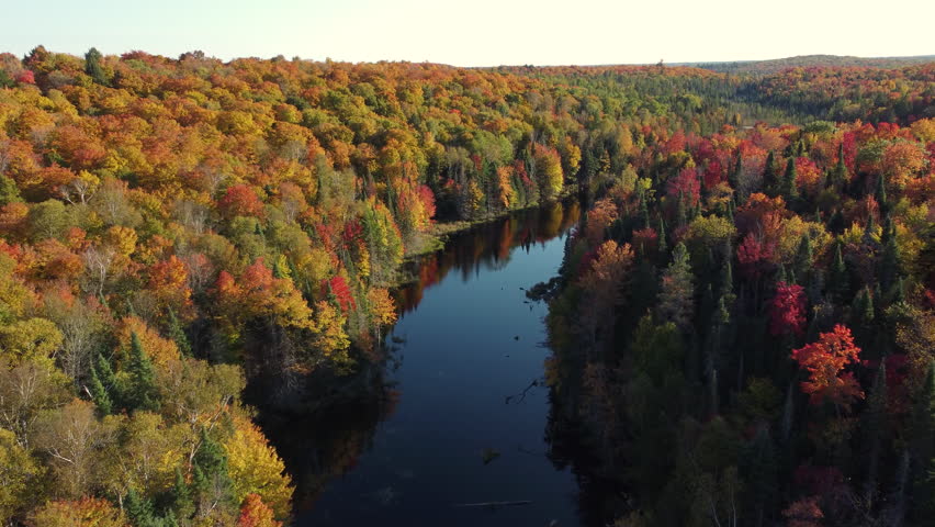 Calm River Through Trees In Fall Foliage In A Nature Park In Ontario, Canada. aerial
