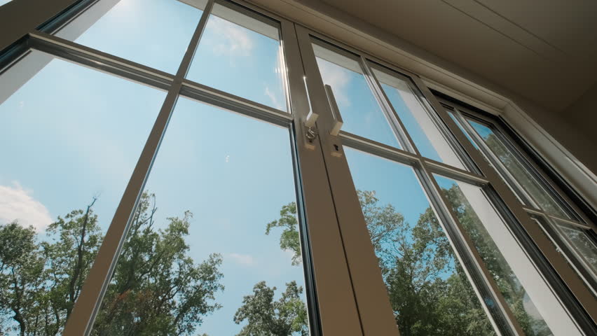 Trees with green foliage on a bright windy day viewed from within a windows. Move camera footage