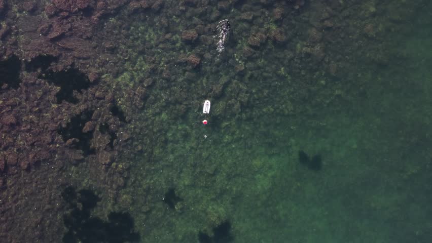 Man practicing spearfishing with red ball, forges, octopus and freediving
