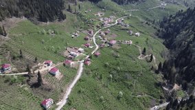 Drone View from the villages of Ordu province. Kozoren Village, Golkoy