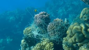 VERTICAL VIDEO, Close-up of a skein of fishing line hanging from coral. Lost fishing line hang underwater on the coral reef. Slow motion