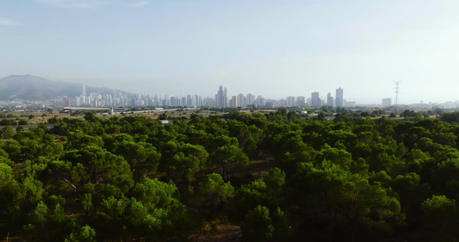 Aerial view of trees and skyscrapers of the touristic city of Benidorm, Spain