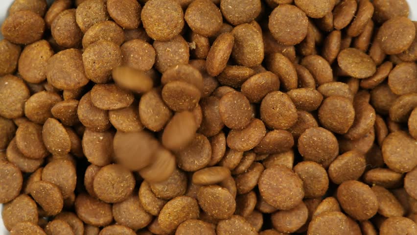 Pets Feed. Dogs Food Falls into Ceramic Plate. Dry Animal Feed Slowly Falls Into a Bowl, Top View. Dry Food for Puppies or Dogs is Poured in a Lage Bowl on a Gray Background in Slow Motion | Shutterstock HD Video #1098155571