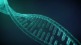 DNA, Abstract animated DNA particles. Concept animation of digital DNA. Medical research, Futuristic 4k animation of DNA molecule.
