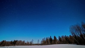 Time-lapse of the milky way moving over trees in the forest. Snowy winter. Night and night lapse shot of the milky way on the earth. Night sky stars milky way on trees
