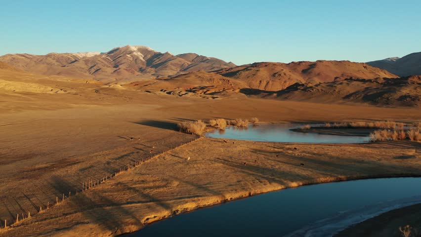 Mountain river flowing through the valley in the first dawn minutes of a new day. Altai mountains. Russia
