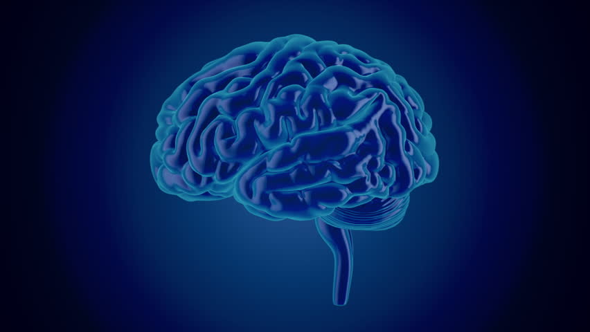 Human Brain. Rotating Brain Model with Neural Network Iridescent Impulses Showing Brainstorming Neuronal Activity. Royalty-Free Stock Footage #1098200461