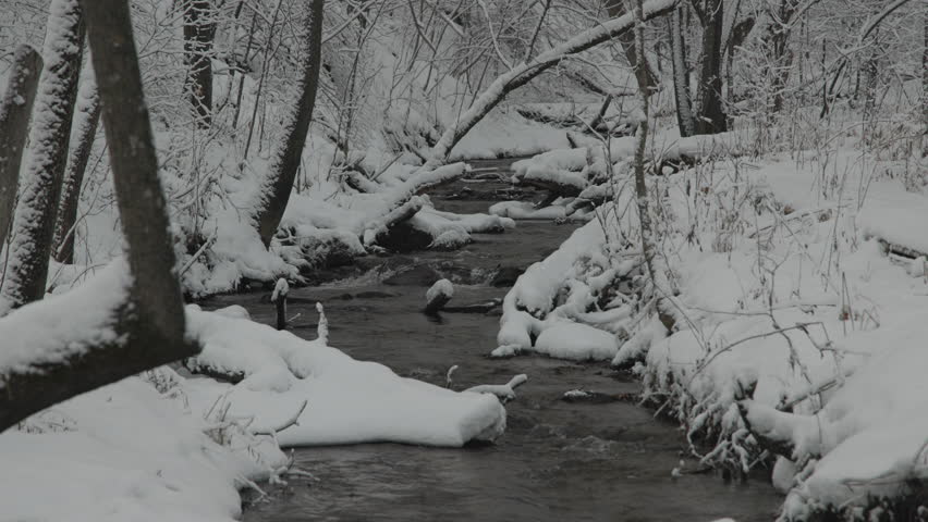 Small Stream with Running Water in Winter Snow in Forest