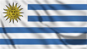 Flag of Uruguay. High quality 4K resolution
