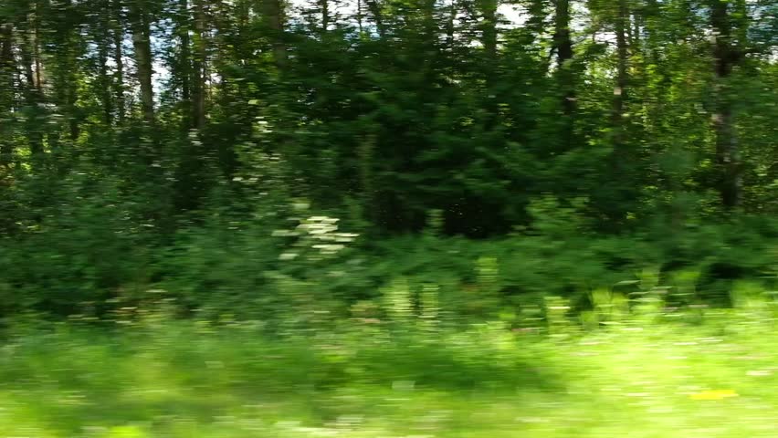 View through side window of car auto in motion on road. Highway along green forest and trees in summer. Tourism and travel, journey trip concept. Beautiful nature and landscape. Car speeding on road. Royalty-Free Stock Footage #1098216875
