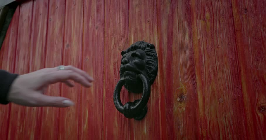 Shutterstock Video