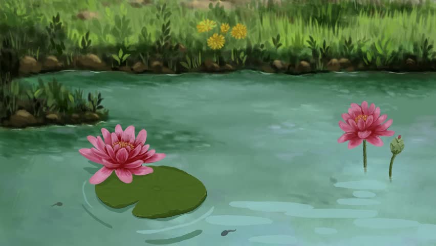 (2D Animation) Frog swimming in the water and jumping out and sitting on the lotus leaf.