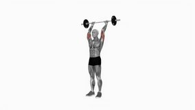 Barbell standing overhead triceps extension fitness exercise workout animation male muscle highlight demonstration at 4K resolution 60 fps crisp quality for websites, apps, blogs, social media etc.