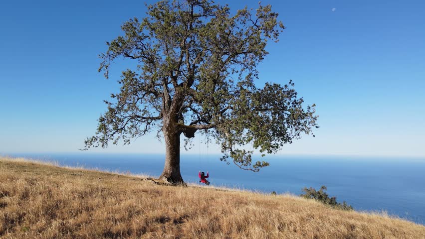 Aerial shot of an Asian woman swinging on a tree swing overlooking the Pacific Ocean in California.
